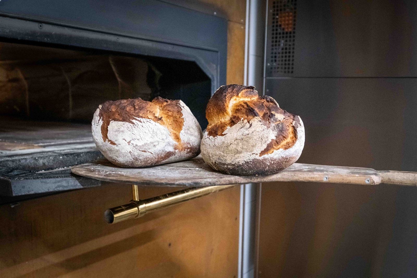 Holzofenbrote auf dem Schieber vor dem Holzofen